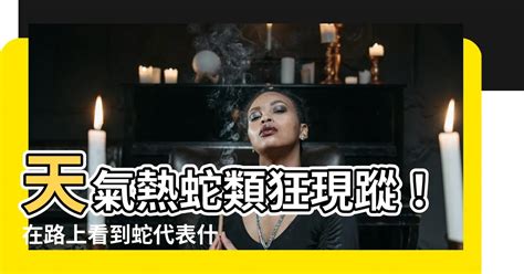 在路上看到蛇代表什麼|蛇的象徵意義和意義（夢想、精神、圖騰和力量）